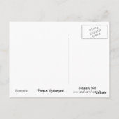 Peegee Hydrangea Briefkaart (Achterkant)