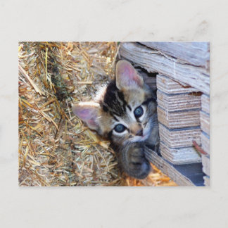 Peek-a-Boo Briefkaart