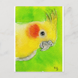 Peek-a-boo Cockatiel Briefkaart
