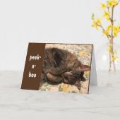 PEEK-A-BOO EN *CONGRATULATIES* AAN U! KAART (Gele Bloem)