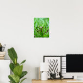 Peek A Boo frog Poster (Thuiskantoor)