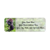 Peek-A-Boo Gorilla Adresetiketten Etiket (Voorkant)