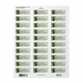 Peek-A-Boo Gorilla Adresetiketten Etiket (Full Sheet)