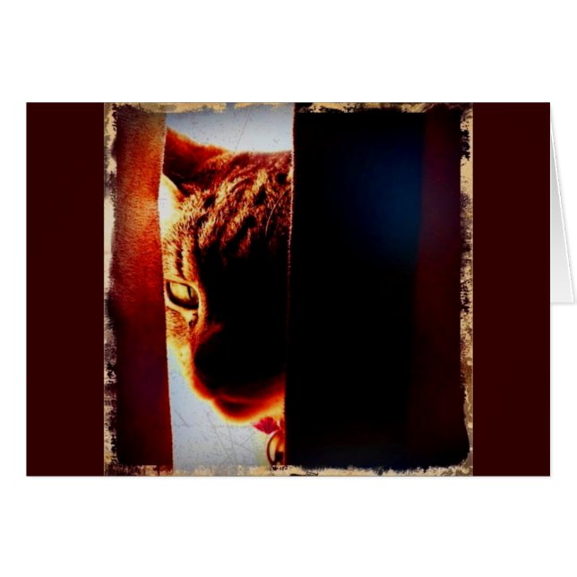 Peek-a-boo Indigo (Voorkant Horizontaal)