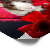 Peek-a-boo, je vous vois ! Affiche (Coin)