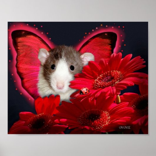 Peek-a-boo, je vous vois ! Affiche (Devant)