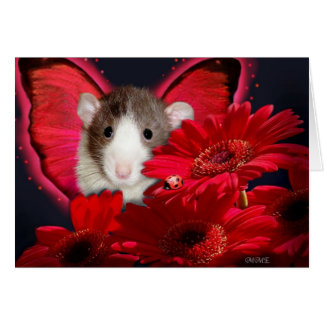 Peek-a-boo, je vous vois ! Carte