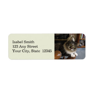 Peek-a-Boo Kat Zorro Return Address Labels