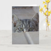 Peek-a-boo kitten Birthday Kaart (Gele Bloem)