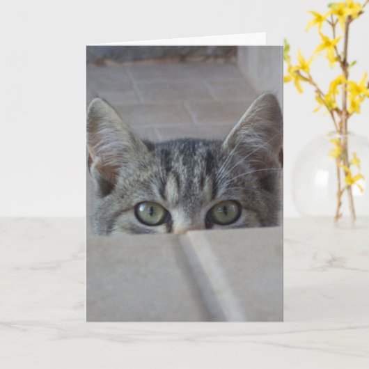 Peek-a-boo kitten Birthday Kaart (Gele Bloem)