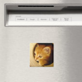 Peek-a-boo! Kitten - Magneet (Insitu (Vaatwasser))