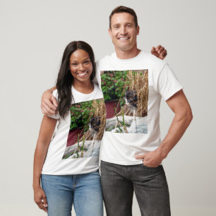 Peek-a-Boo Kitten T-shirt