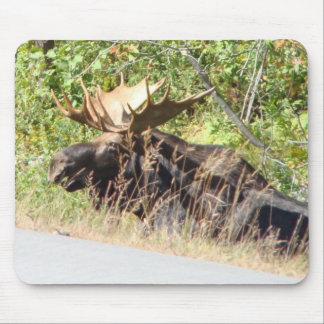 Peek-a-Boo Moose Mousepad Muismat