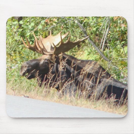 Peek-a-Boo Moose Mousepad Muismat (Voorkant)