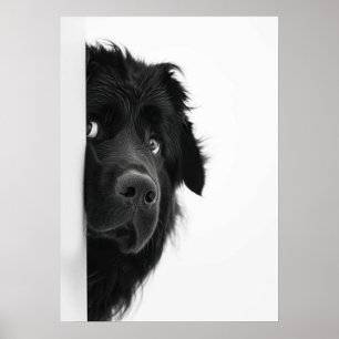Peek-a-Boo Pup – Grappige Honden Fotografie Print