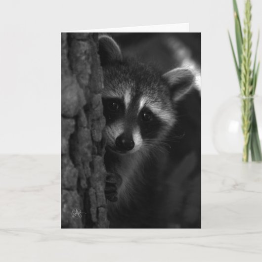 Peek-a-Boo Raccoon Kaart (Voorkant)
