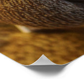 Peek-a-boo Sock Monkey Poster (Hoek)