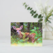 Peek-a-Boo - Spotted Fawn in the Brush - Briefkaart (Staand voorkant)
