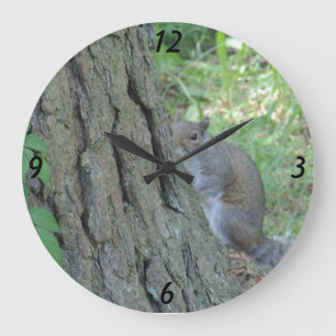 Peek A Boo Squirrel - Grote Klok