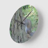 Peek A Boo Squirrel - Ronde Klok (Hoek)