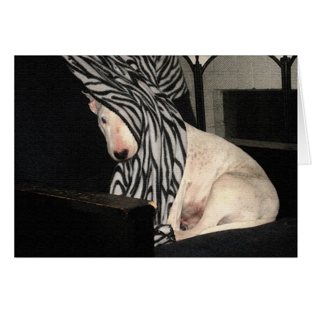 Peek-a-Bully (Voorkant Horizontaal)