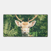 Peek a Deer (Recto)