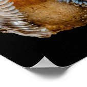 Peekaboo Duck Poster (Hoek)