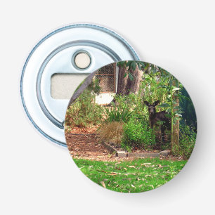 Peekaboo Kangaroo, Magnetic Bottle Opener. Button Flesopener