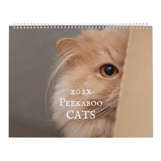 Peekaboo kattenkalender kalender (Hoes)
