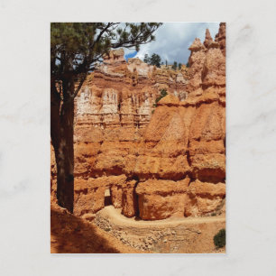 Peekaboo Loop aan Bryce Point Bryce Canyon Nationa Briefkaart
