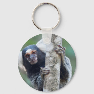 Peekaboo marmoset (Callithrix jacchus) Sleutelhanger