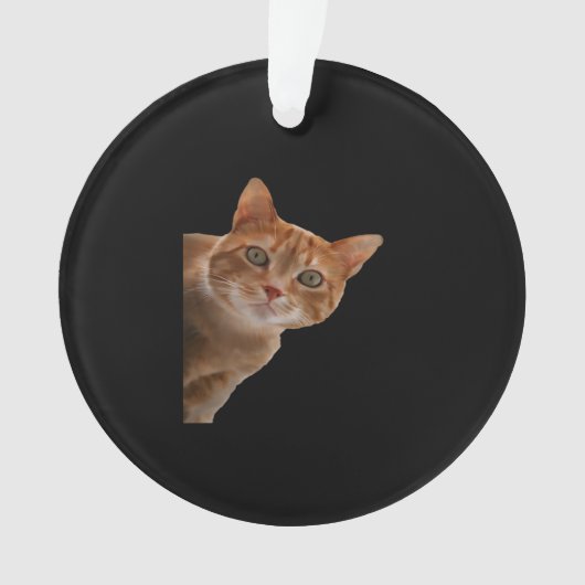 Peekaboo- Peinture (devant)