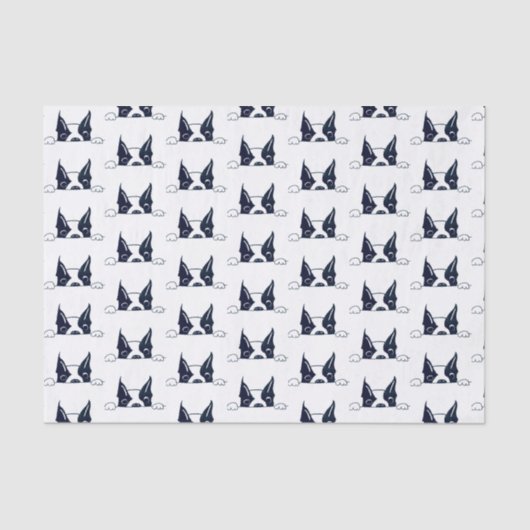 Peekaboo Tissue Paper Tissuepapier (Voorkant)