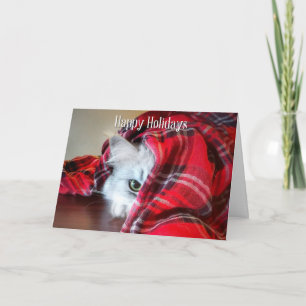 Peeking Cat Holiday Kaart
