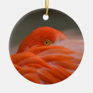 Peeking Flamingo Keramisch Ornament