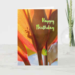 Peeking Gecko Happy Birthday Kaart