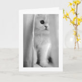 PEEKING SORT POUR DIRE "JE T'AIME" TOUTE CARTE D'O (Fleur jaune)