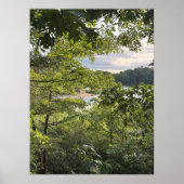 Peeking through the Trees Poster (Devant)