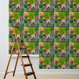 Peel en Stick Wallpaper Cactus Planten Behang