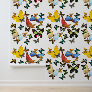 Peel Stick geel Sinaasappel blauw vlinderpatroon Behang