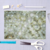 Peelen en Petalen Tissuepapier (Craft)