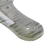 "PEELING WHITE TREE BARK" (FOTO) SNIJPLANK (Hoek)