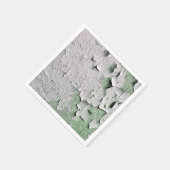 PEELPAK SERVET (Hoek)