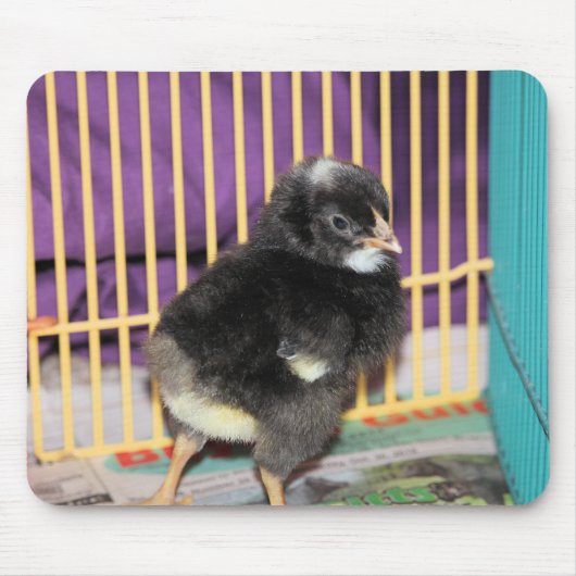 Peep Muismat (Voorkant)