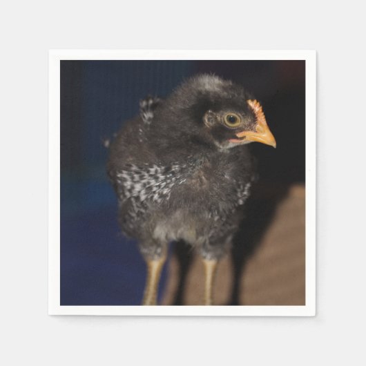 Peep Servet (Voorkant)