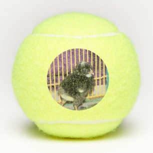 Peep Tennisballen