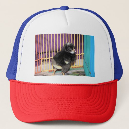 Peep Trucker Pet (Voorkant)