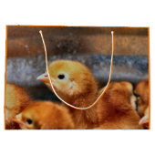 Peepepepiep Groot Cadeauzakje (Achterkant)