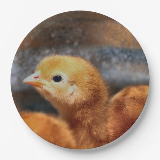 Peepepepiep Papieren Bordje (Voorkant)