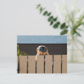 Peeping-Briefkaart Briefkaart (Staand voorkant)